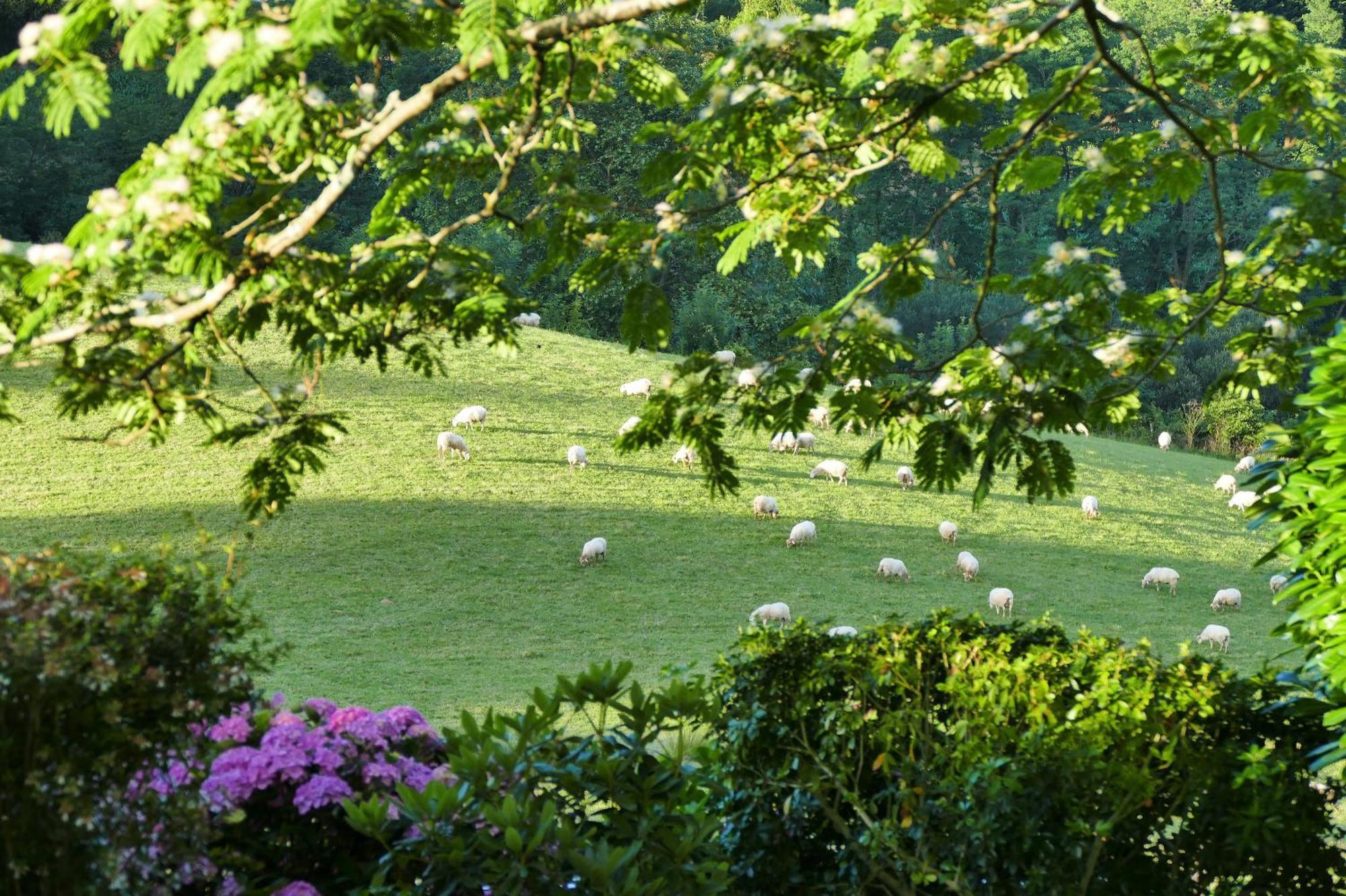 Baskoparadis I Eco-Gites I Calme I Vue I Anes I Jardin I Montagne I Nature Louhossoa Exterior foto